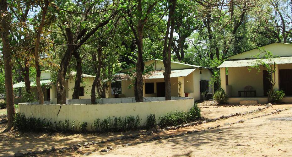 Kum Kum Home, Bandhavgarh 4